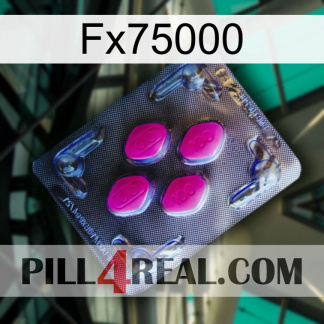 Fx75000 02